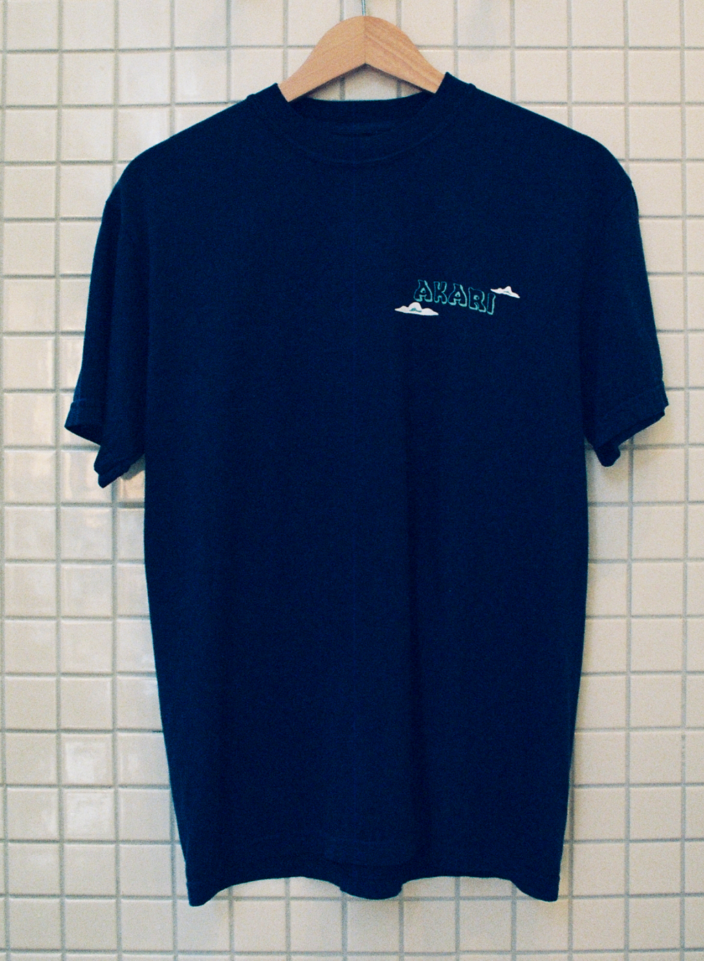 Mt. Fuji T-Shirt