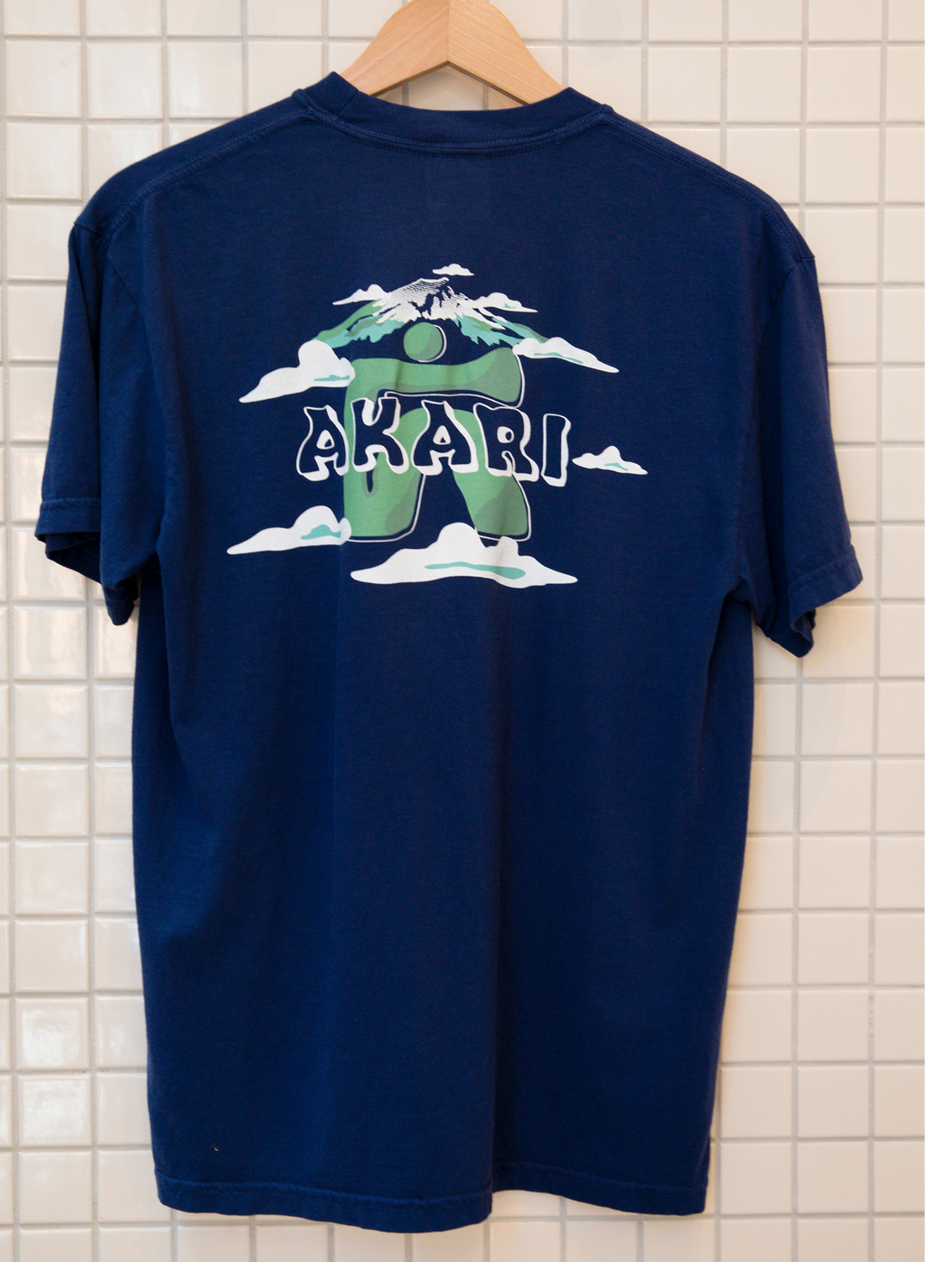 Mt. Fuji T-Shirt